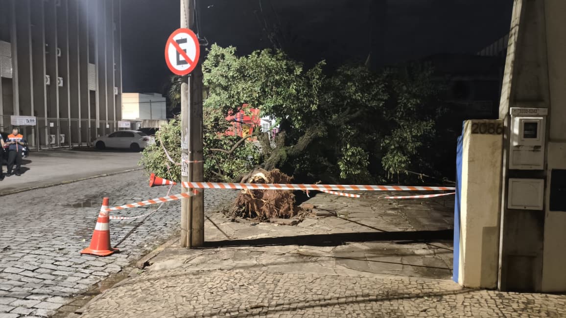 Foto 41 de 67 — TEMPORAL EM FOTOS: veja imagens de destruição em Araraquara
